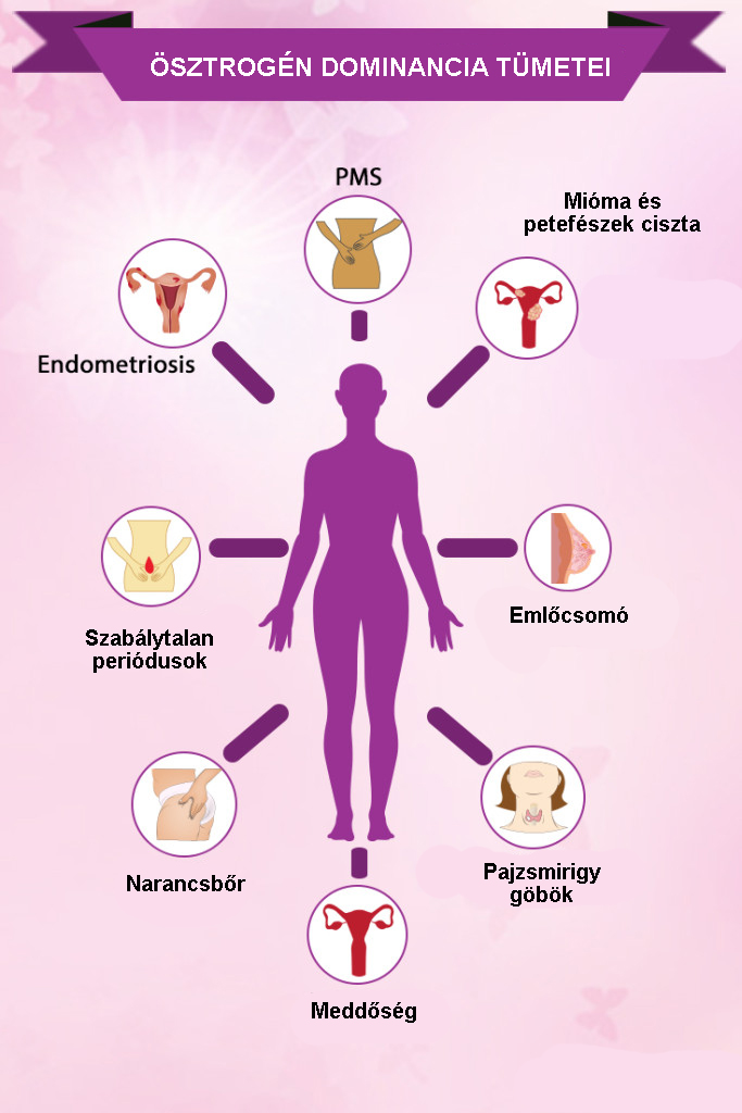 ösztrogén dominancia