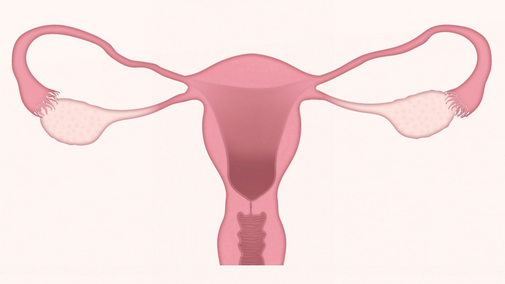 menopauza után méhsüllyedés